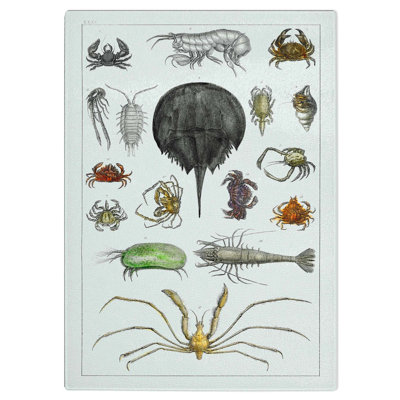 Tempered Glass Crabs and Lobsters Chopping Board