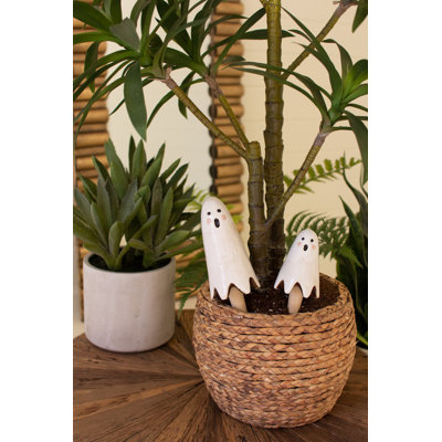 SET OF TWO CERAMIC GHOST PLANT STICKS