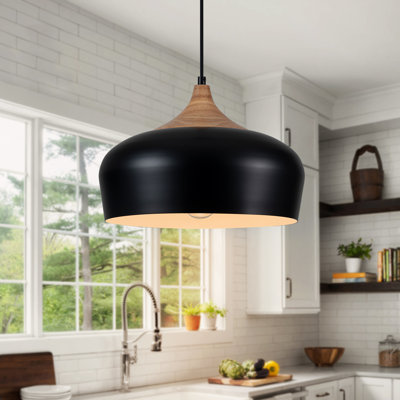 1- Light Dome Pendant