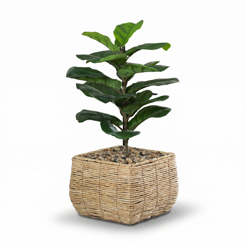Mckenna Pot Planter, 9" H x 11.25" W x 11.25" D