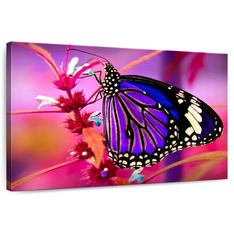 Brampt magnifique papillon mauve, H 16 po x l 24 po