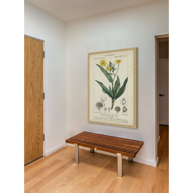 «Botanique Study in Yellow III», reproduction d'impression encadrée, H 36 po x l 24 po x P 1,5 po