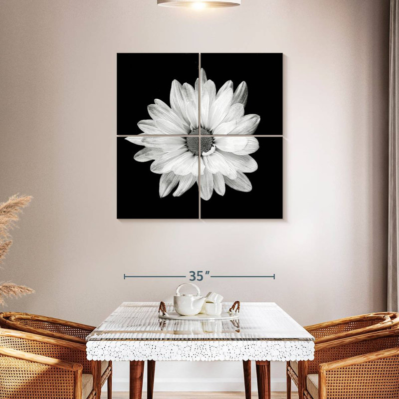Harnek BW - marguerite blanche