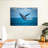 Pacific Humpback Whale-108842656