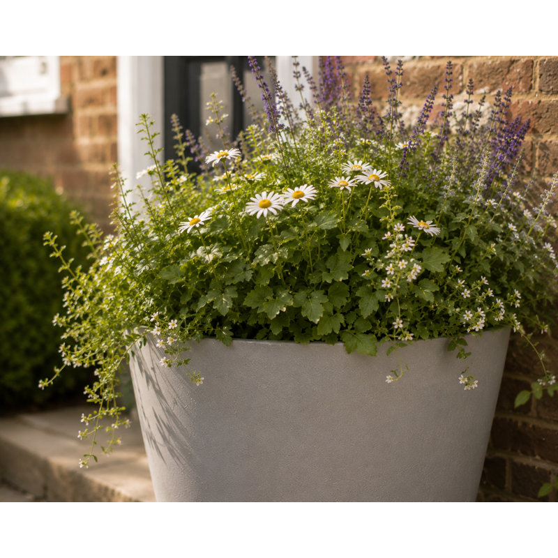 Robin Round Bucket Planter, Contemporary Concrete Effect, Round Indoor and Outdoor Plant Pot with Drainage Hole, White