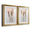 Danita Delimont - ensemble de 2 reproductions de photos-442514284-442514287-442514285