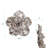 Silver Camellia