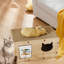 Maison pour chat Ein