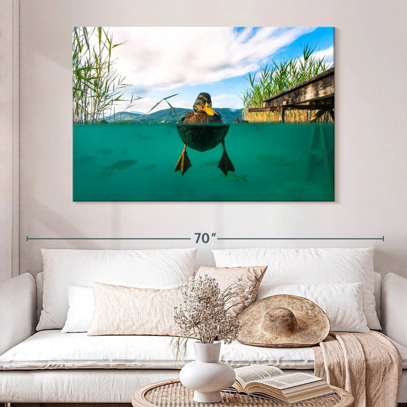 Crowle Duck Underwater View