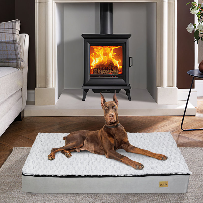 Orthopedic Polyester Pet Bed, 12cm H x 135cm W x 100cm D