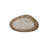 Oval Coffee Table