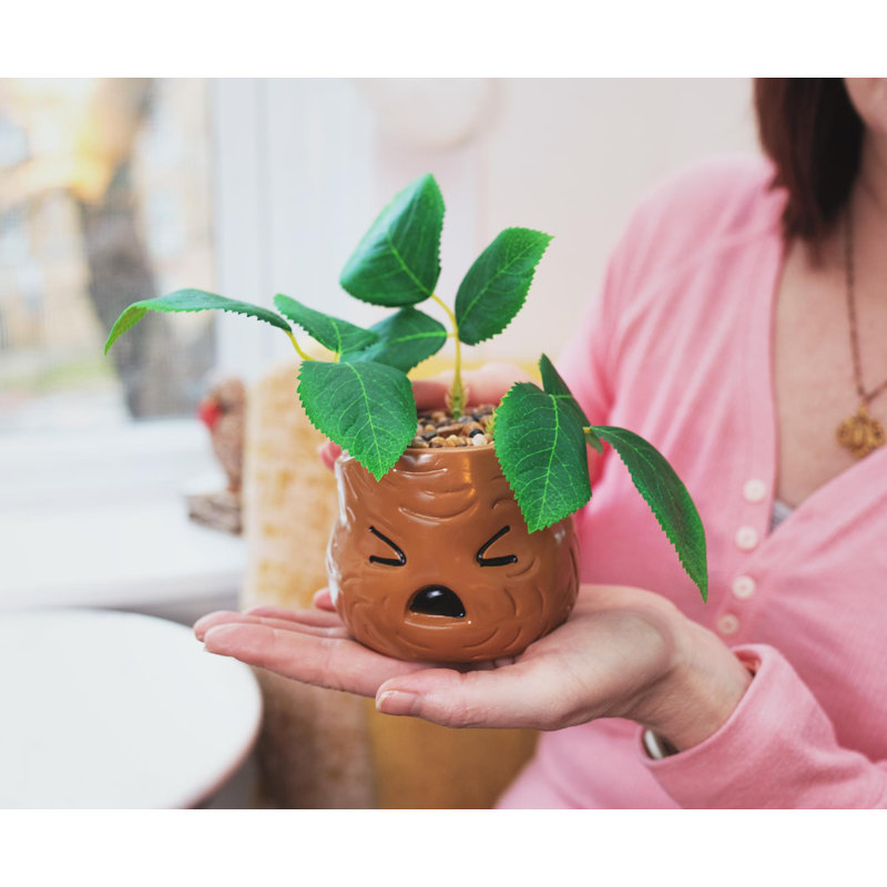 Plante grasse artificielle 6 po en pot