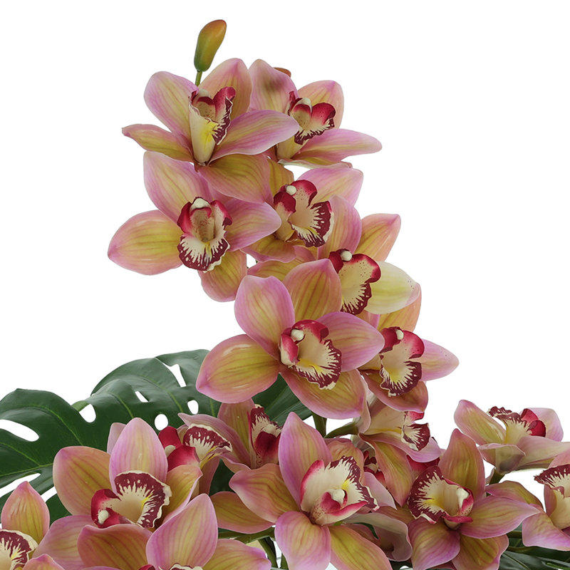 Tropical Orchid Arrangement in Glass Vase