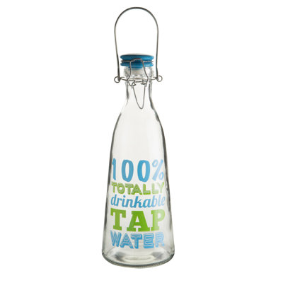 Symple Stuff Cienna 33.8ml Glass Water Bottle