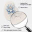 Rétro lotus bleu II - art mural asymétrique floral en forme de poire-23724417