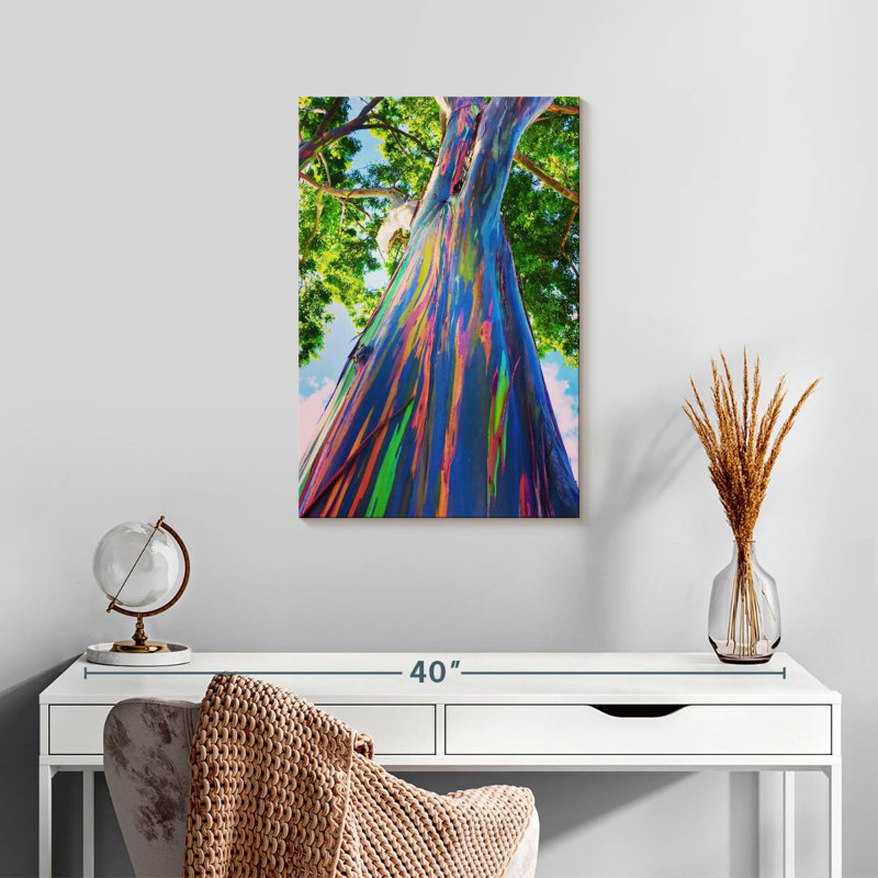 Eucalyptus hawaïen Harnek, H 24 po x l 16 po