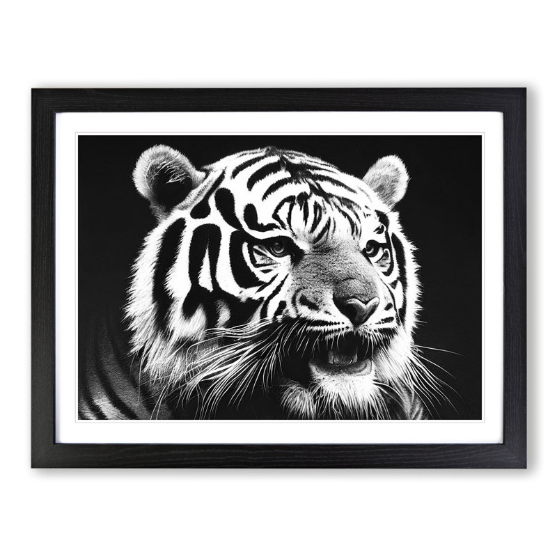 Monochrome Tiger Vol.1 - Framed Print, Black Framed, 46cm H x 64cm W x 2cm D