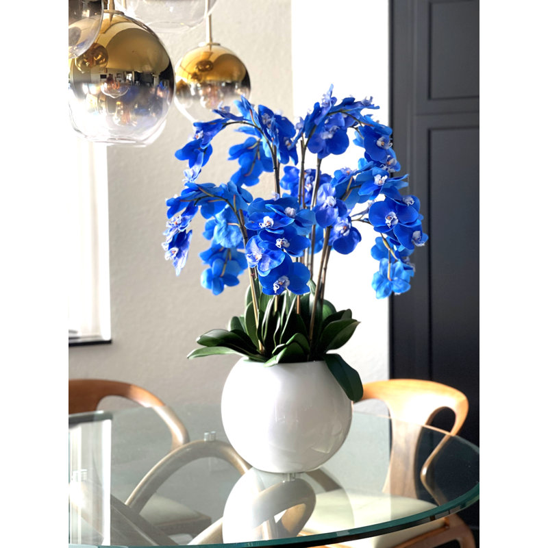 Phalaenopsis Orchid Floral Arrangement in Pot, Blue