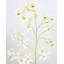 Dancing Oncidium Orchid 46.5"