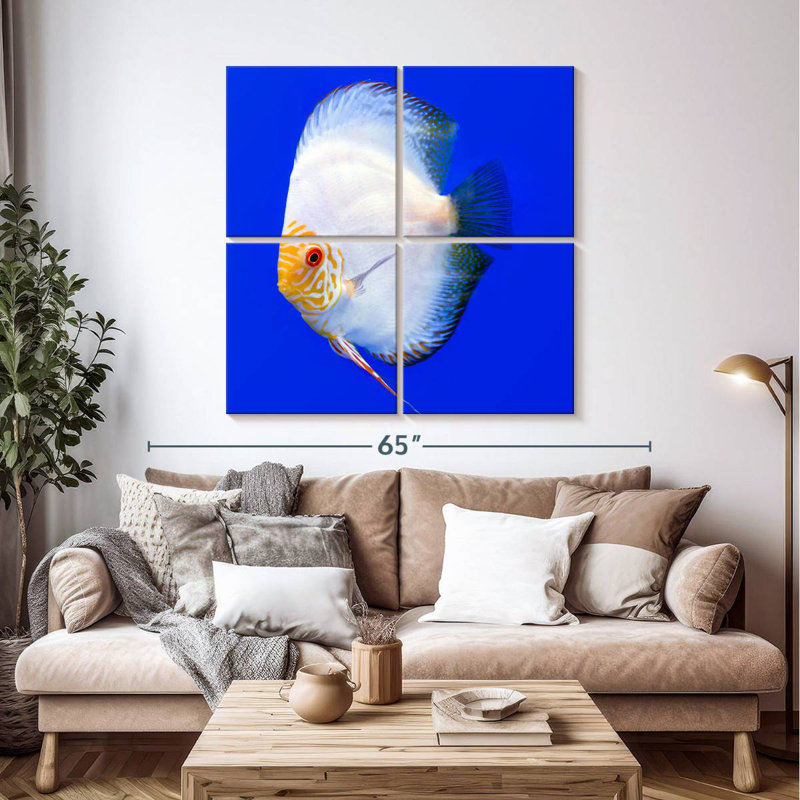 Brampt Pompadour Discus Fish, 45" H x 45" W