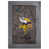 Minnesota Vikings