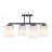Herron 4-Light Ceiling Light in Matte Black-397403032