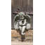 Seated Small Cherub Statue-13915275