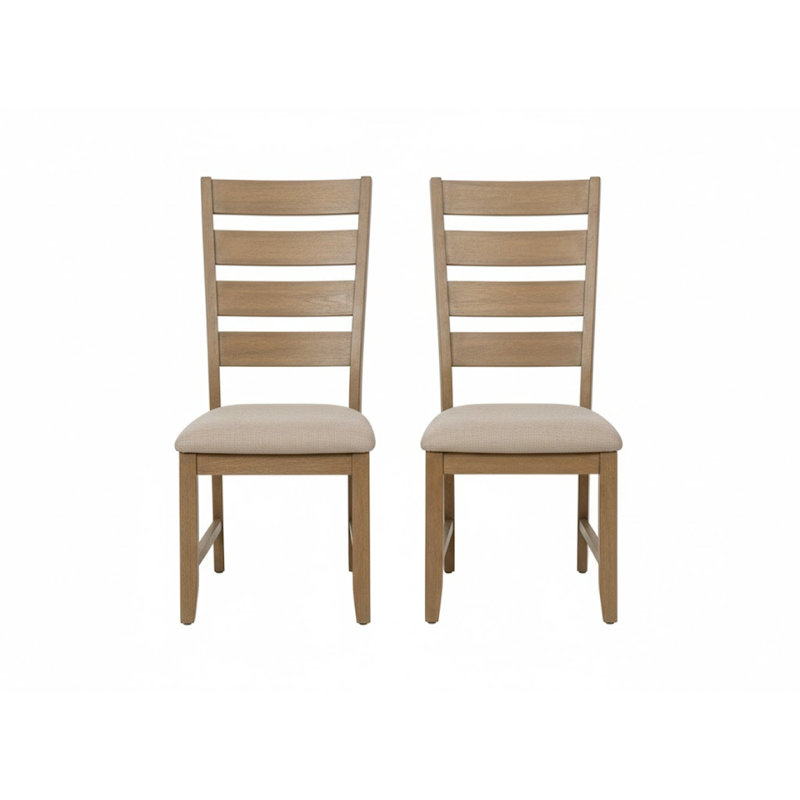 Ensemble de 2 chaises d'appoint rembourrées Nyx