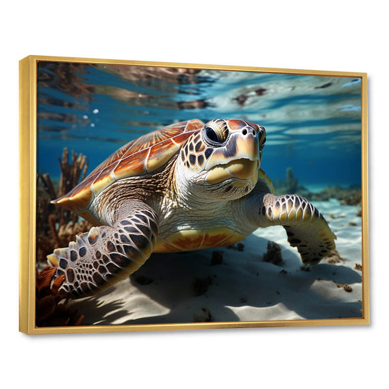 Minimalist Lagoon Turtle sur toile, Cadre flottant doré, H 30 po x l 40 po x P 1,5 po
