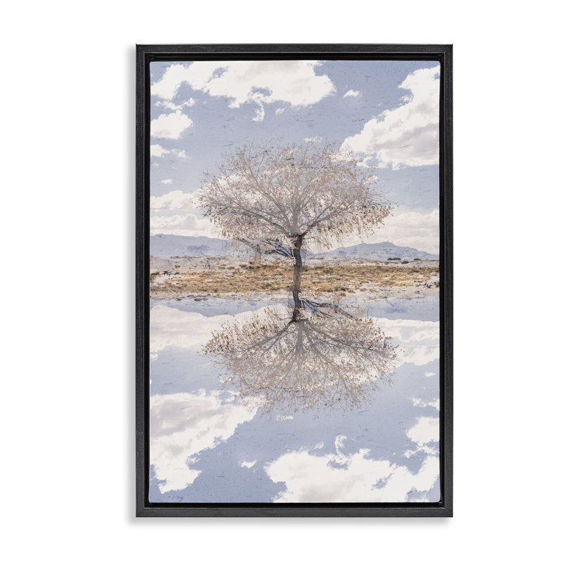 Cadre flottant Lone Tree & Clouds Reflection, design par Robin Vandenabeele, Cadre flottant noir de jais, H 25 po x l 17 po