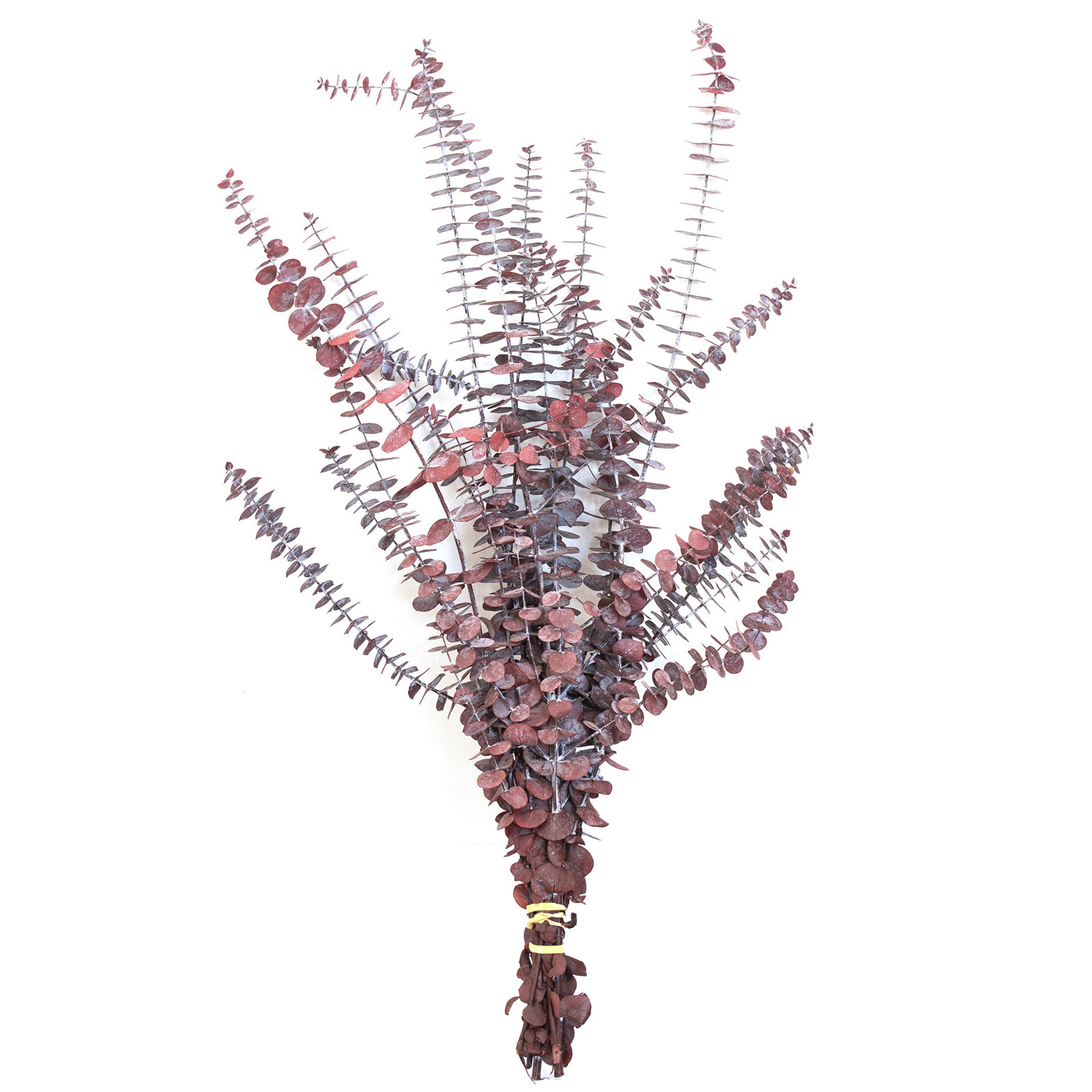 30'' Branch, Red