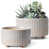 Reactive Glaze Star White