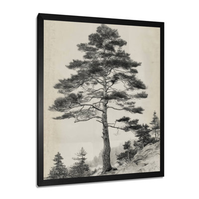 Vintage Tall Pine Forest Tree - Pine Large Wall Art, Black Nature Framed Canvas Art Print