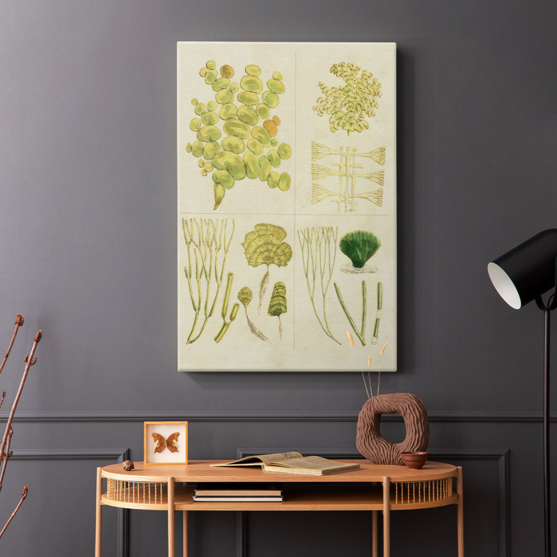 Herbe de mer rétro IV - galerie Cavas enveloppé, H 60 po x l 40 po
