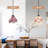Single-head Pink Flower Pendant Lighting