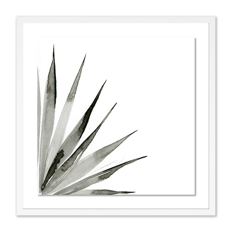 Agave II Print by Jess Engle, White, 24" H x 24" W x 1.5" D