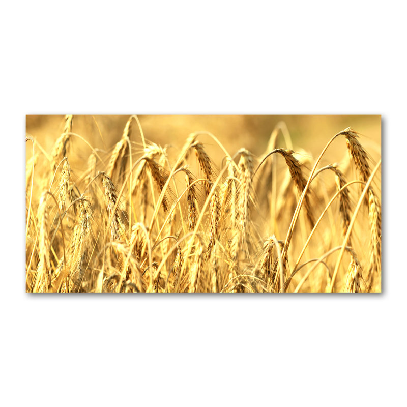 Grain - Wrapped Canvas Print