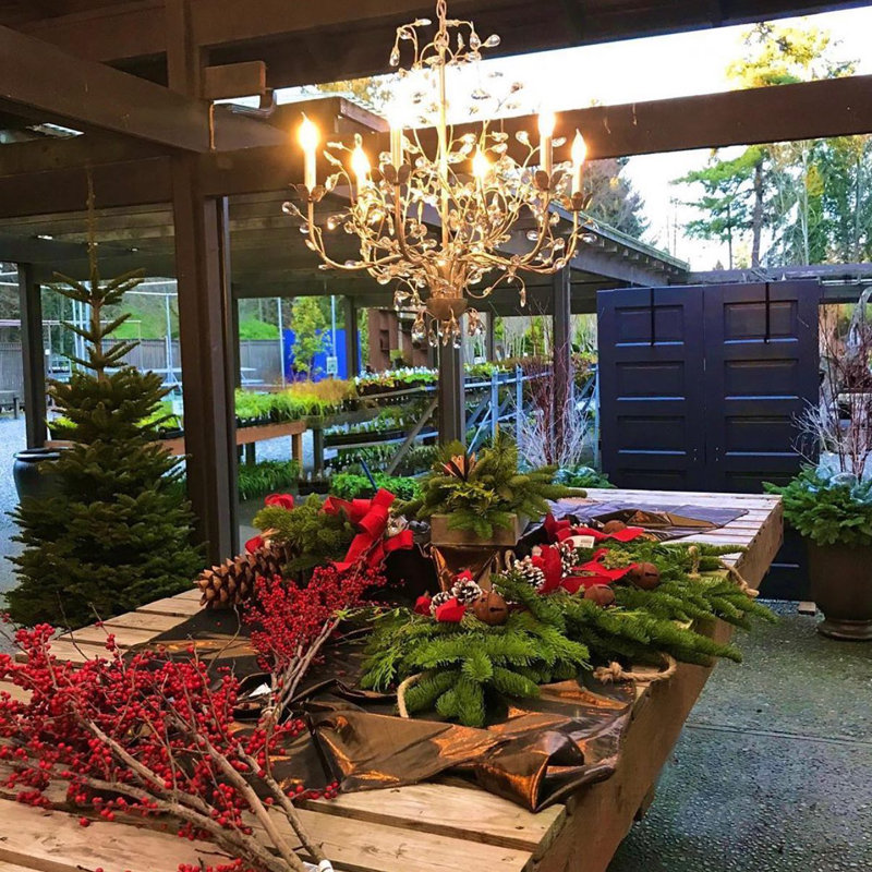 Crystal Bud 6 - Light Chandelier, Cupertino