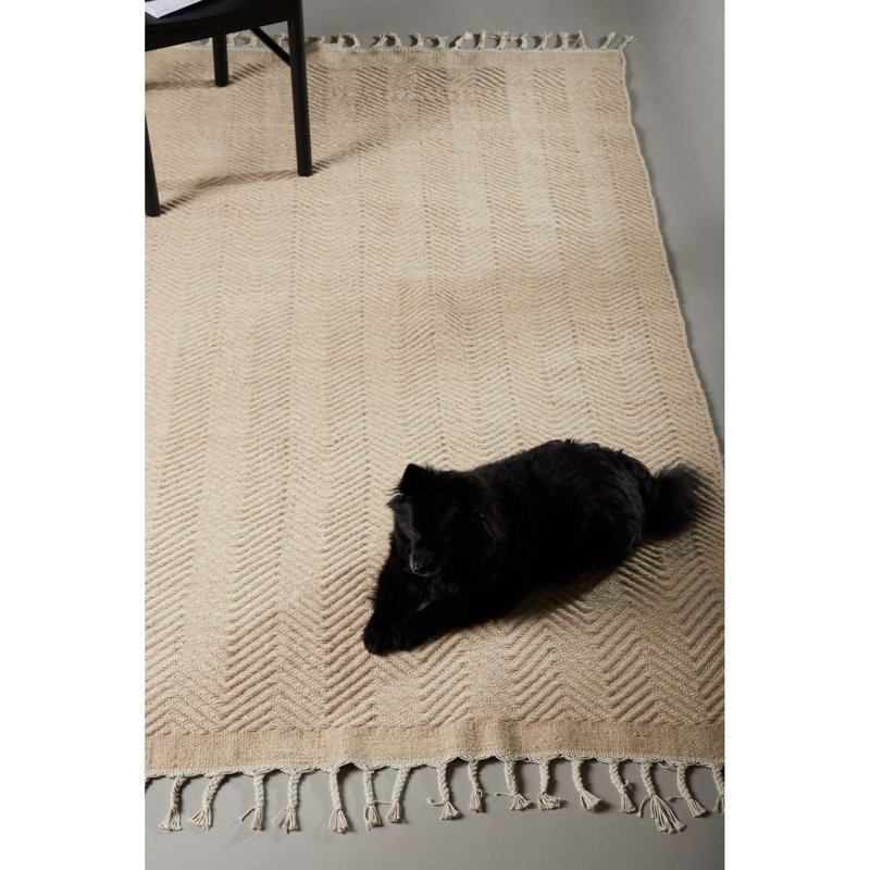 Hand Woven 203cm X 300cm Area Rug
