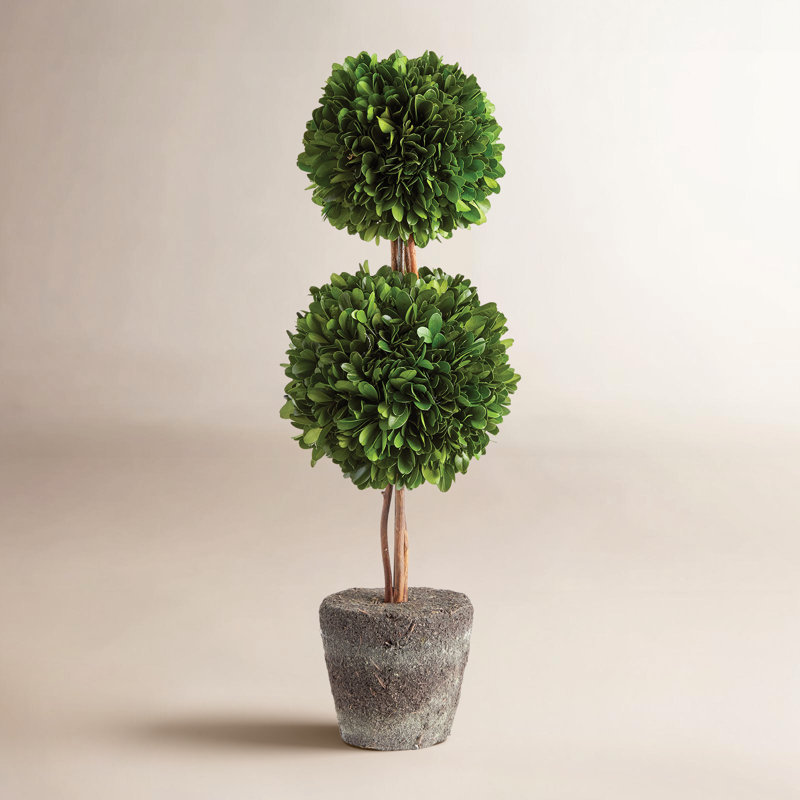 Double Sphere Topiary Drop-In 20"