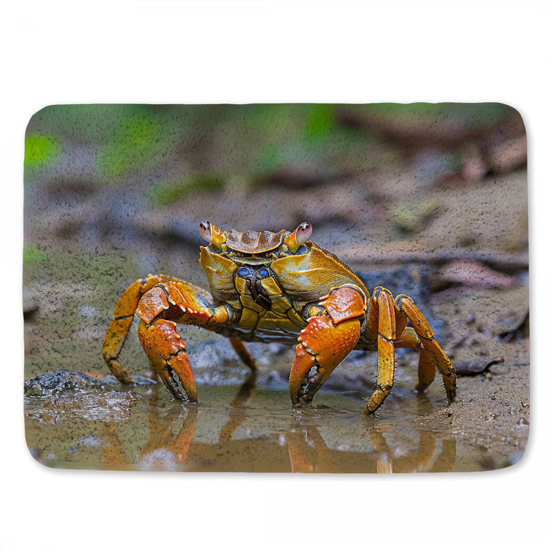 Tapis de bain Crab, L 21 po x L 34 po