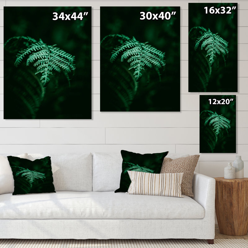 Fougère vert foncé sur fond noir I - reproduction sur toile, H 32 po x l 24 po, Toile tendue