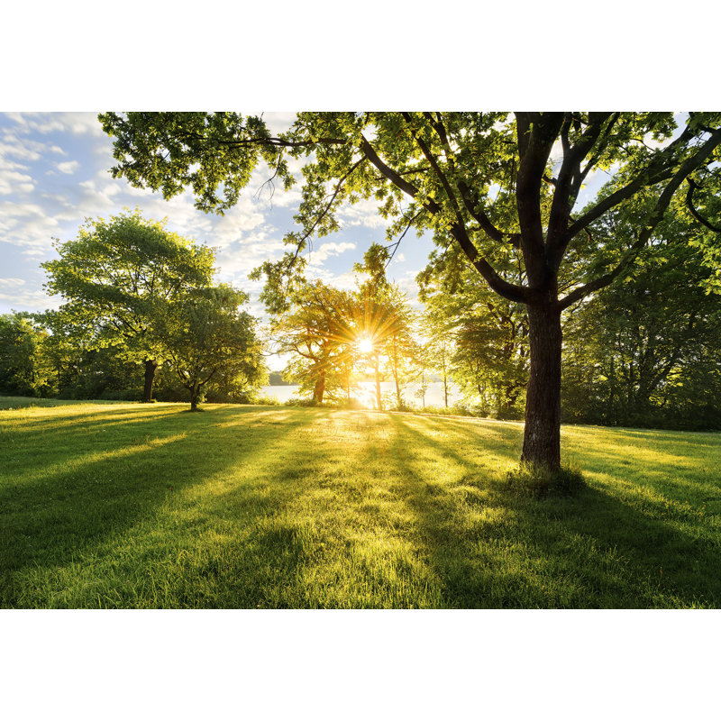 Nature Scenery 3.68m x 2.54m Matte Mural