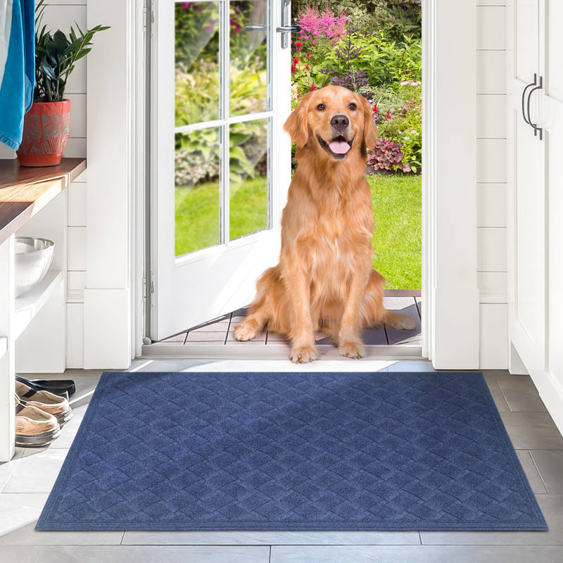 Tapis d'entrée antidérapant Ebern Designs, L 24 po x L 36 po, Bleu marine