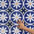 Santorini Coast 9-3/4 In. X 9-3/4 In. Porcelain Floor And Wall Tile