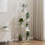 Plant Stand-1074794168