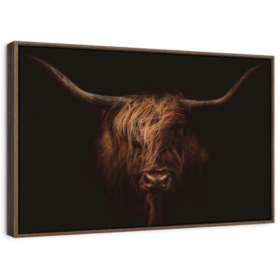 Brampt Handsome Highland Cow
