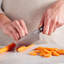 GreenPan Titanium 2-Piece Santoku Knife Set