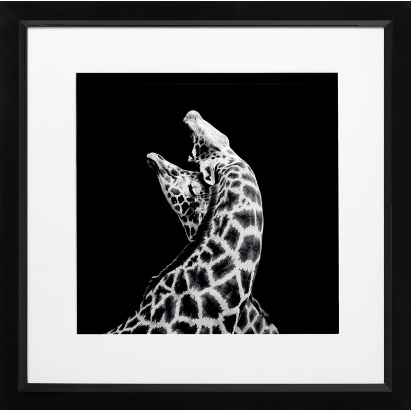 Single Picture Frame Print