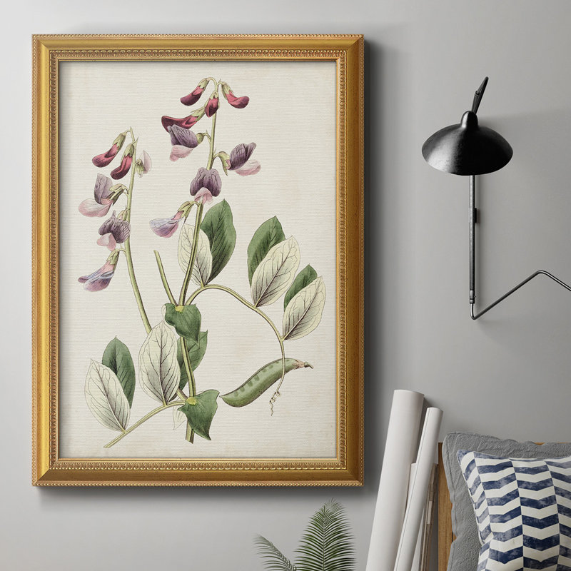 Antique Botanical Collection I, toile encadrée de qualité supérieure - prête à être accrochée, L 24 po x H 36 po